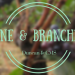 Sermon graphic - Vine & Branches
