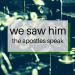 Sermon graphic We Saw Him