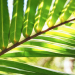 Sermon graphic for website-2
